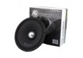 Midwoofer 25 cm SPL10M.1.4 NUOVA SERIE 